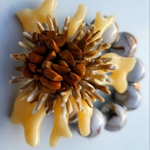 Real Sea Shell Flower Bracelet